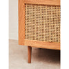 Lyon 2 Door Natural Rattan And Oak Cabinet
