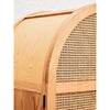 Lyon 2 Door Natural Rattan And Oak Cabinet